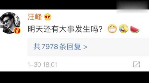 娱乐吃瓜解约视频下载